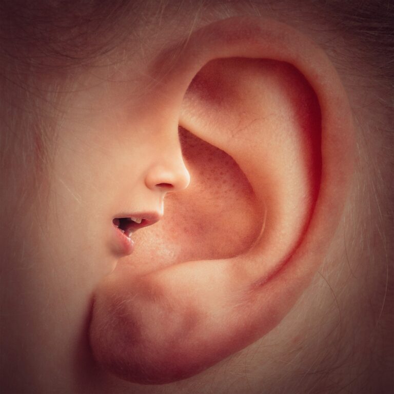 ear-3971050_1280