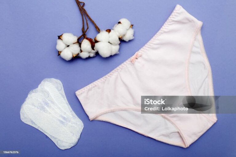 period panty disposable